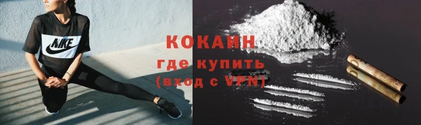 шишки Алексин