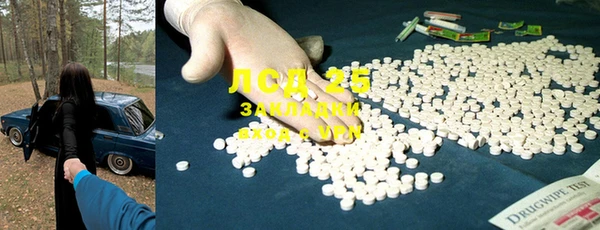 шишки Алексин