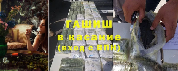 твердый Инта