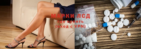 прущие грибы Армянск
