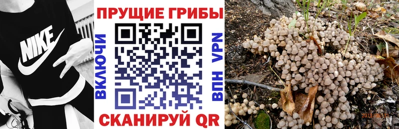 Галлюциногенные грибы мицелий  где можно купить наркотик  Строитель 